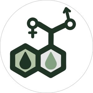 vitadrops-VD-hormobalance